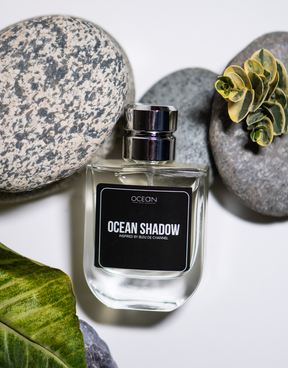 Ocean Shadow Inspired By Bleu de Chanel Eau de Parfum (50ML).